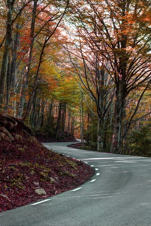 Carretera del Montseny