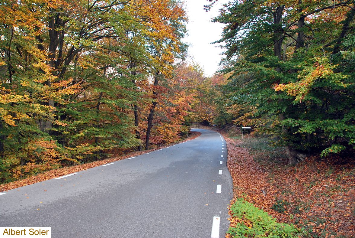 Otra carretera del Montseny